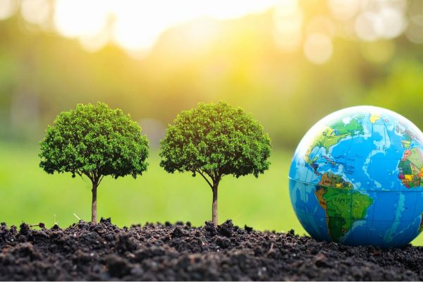 Environmental Safety Training Centre