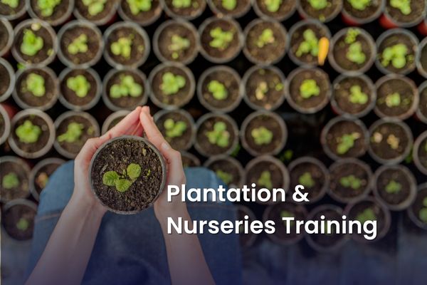 Plantation & Nurseries Training
